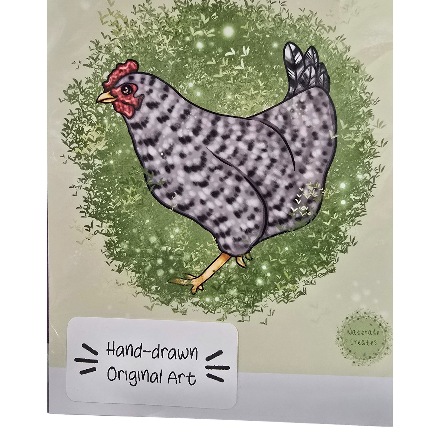 Chicken Print 8.5x11 Hand Drawn Original Art