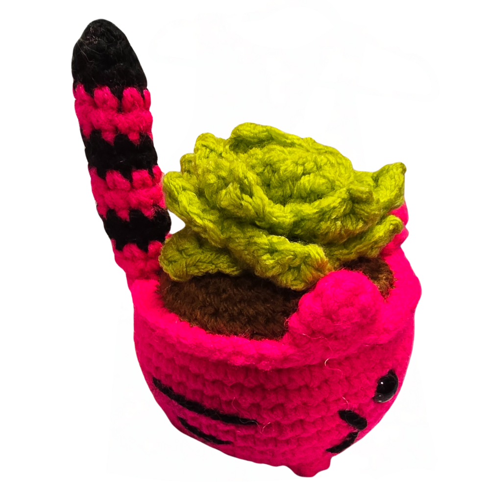 Crocheted Cat Succulent
