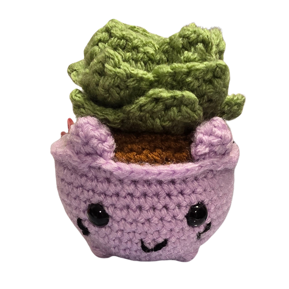 Crocheted Cat Succulent
