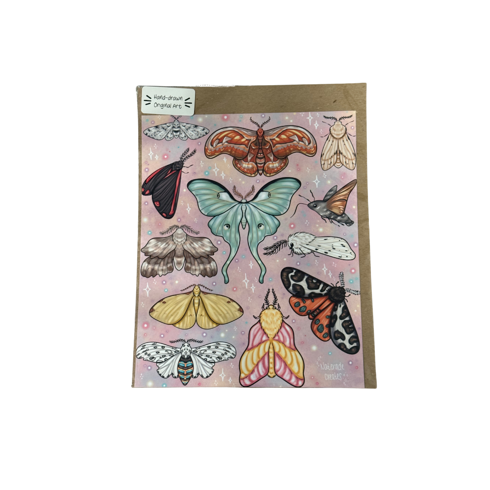 Moths Print 8.5x11 Hand Drawn Original Art