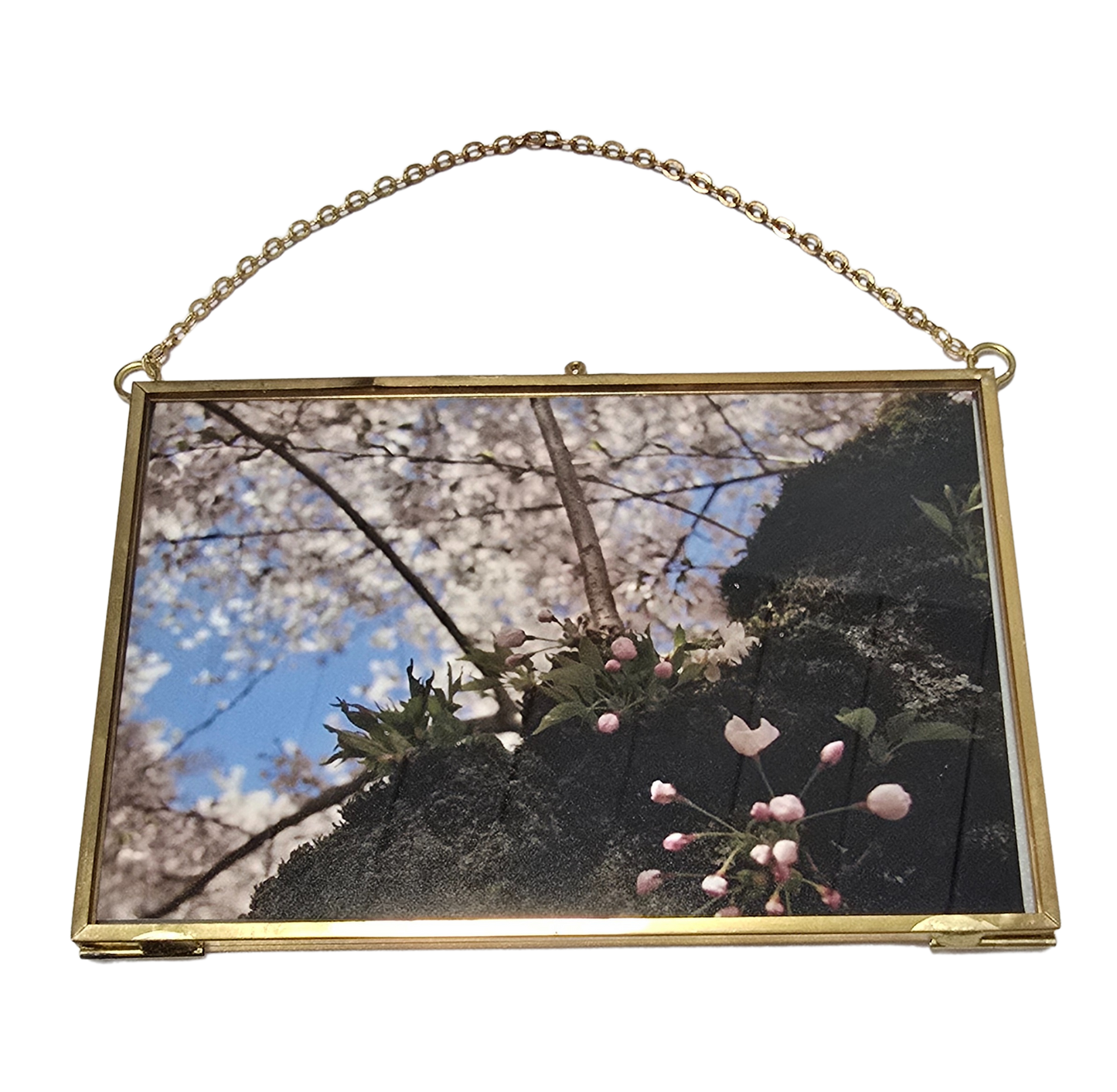 Local Photograph in Medium Frame #1