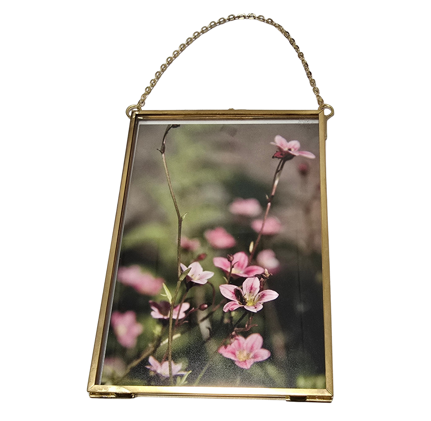 Local Photograph in Medium Frame #2