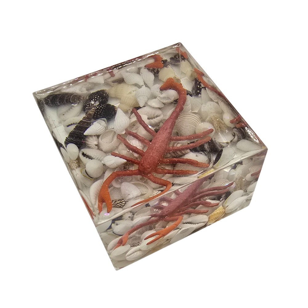 Scorpion Cube
