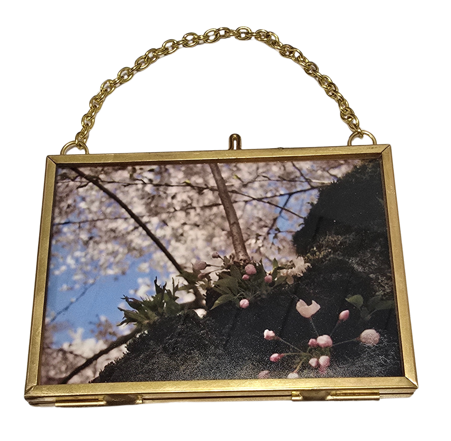 Local Photograph in Frame #4