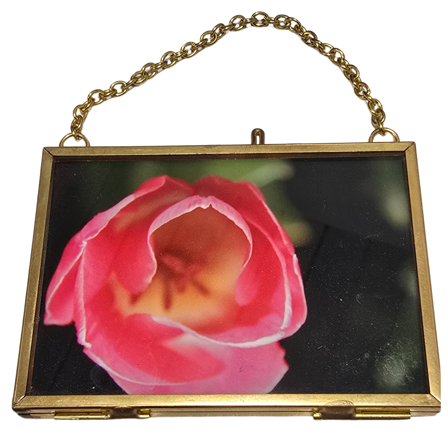 Local Photograph in Frame #5