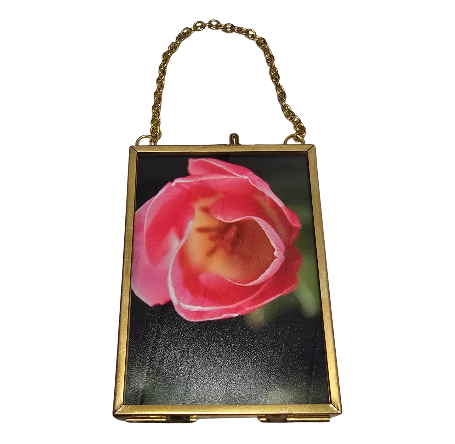 Local Photograph in Frame #2