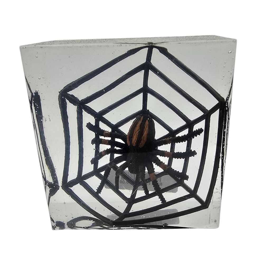 Spider Cube