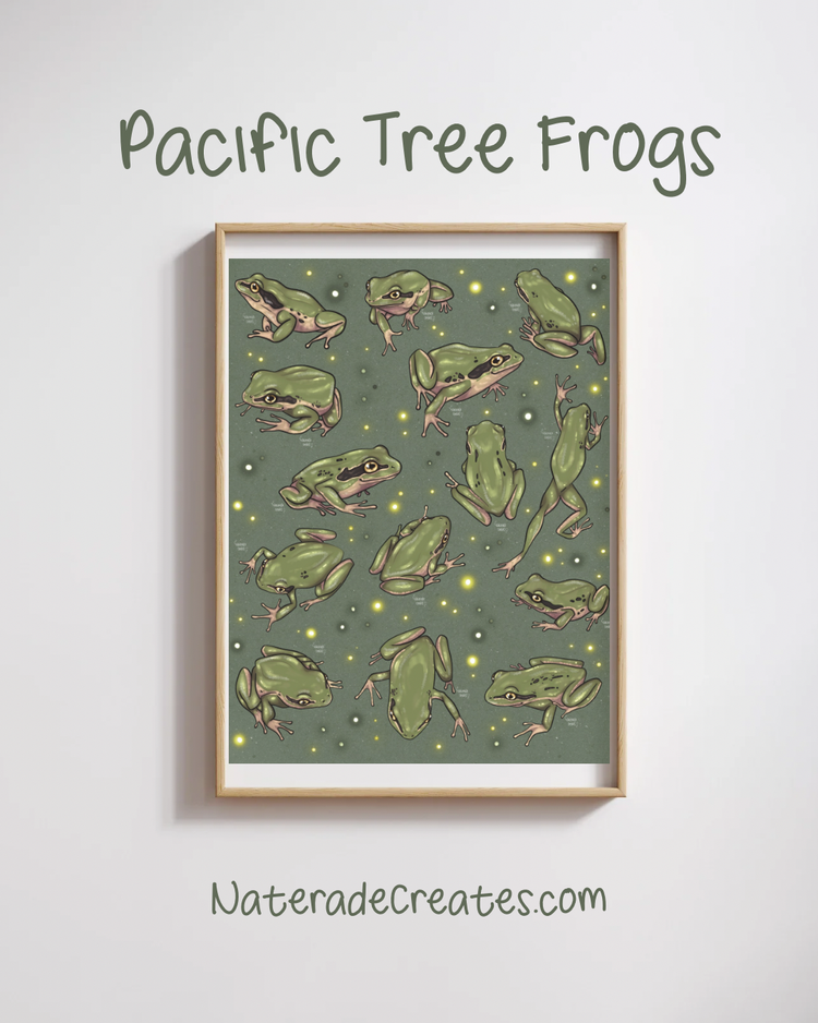 Frogs Print 8.5x11 Hand Drawn Original Art