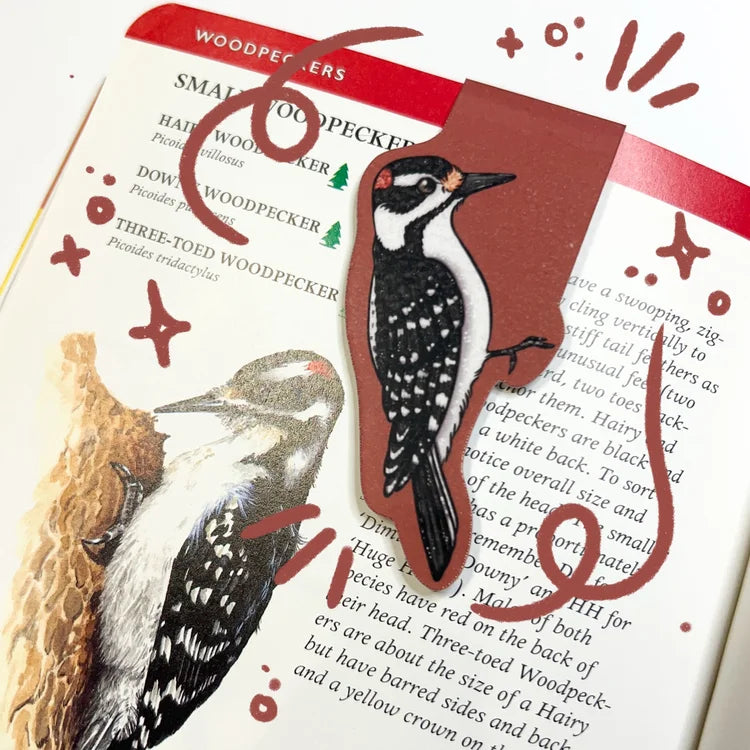 Magnetic Bookmark - Hairy Woodpecker