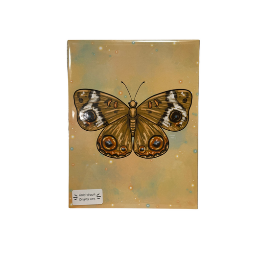 Butterfly Print 8.5x11 Hand Drawn Original Art