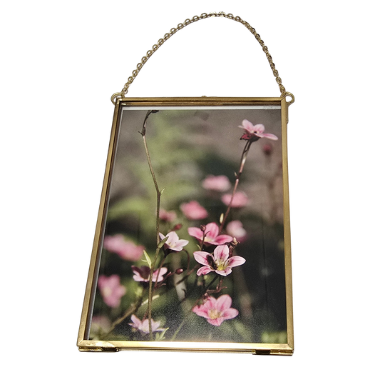 Local Photograph in Medium Frame #2