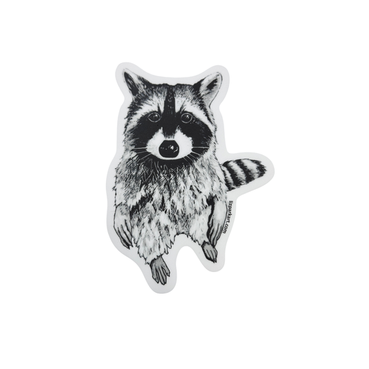 Raccoon | Handmade Original Artwork Sticker | Liz Park Art
