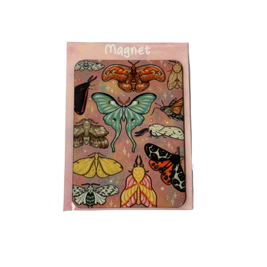 Moth Magnet