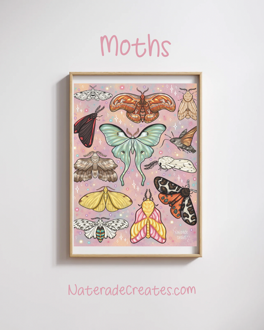 Moths Print 4x6 Hand Drawn Original Art