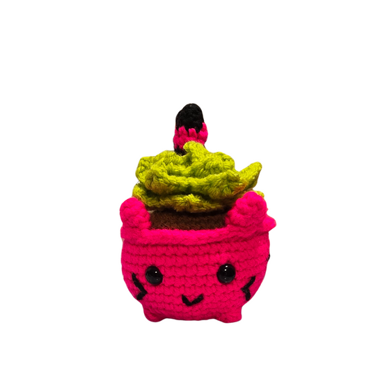 Crocheted Cat Succulent