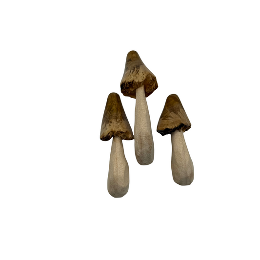 Woodland Charm: Set of 3 Mushroom Magnets