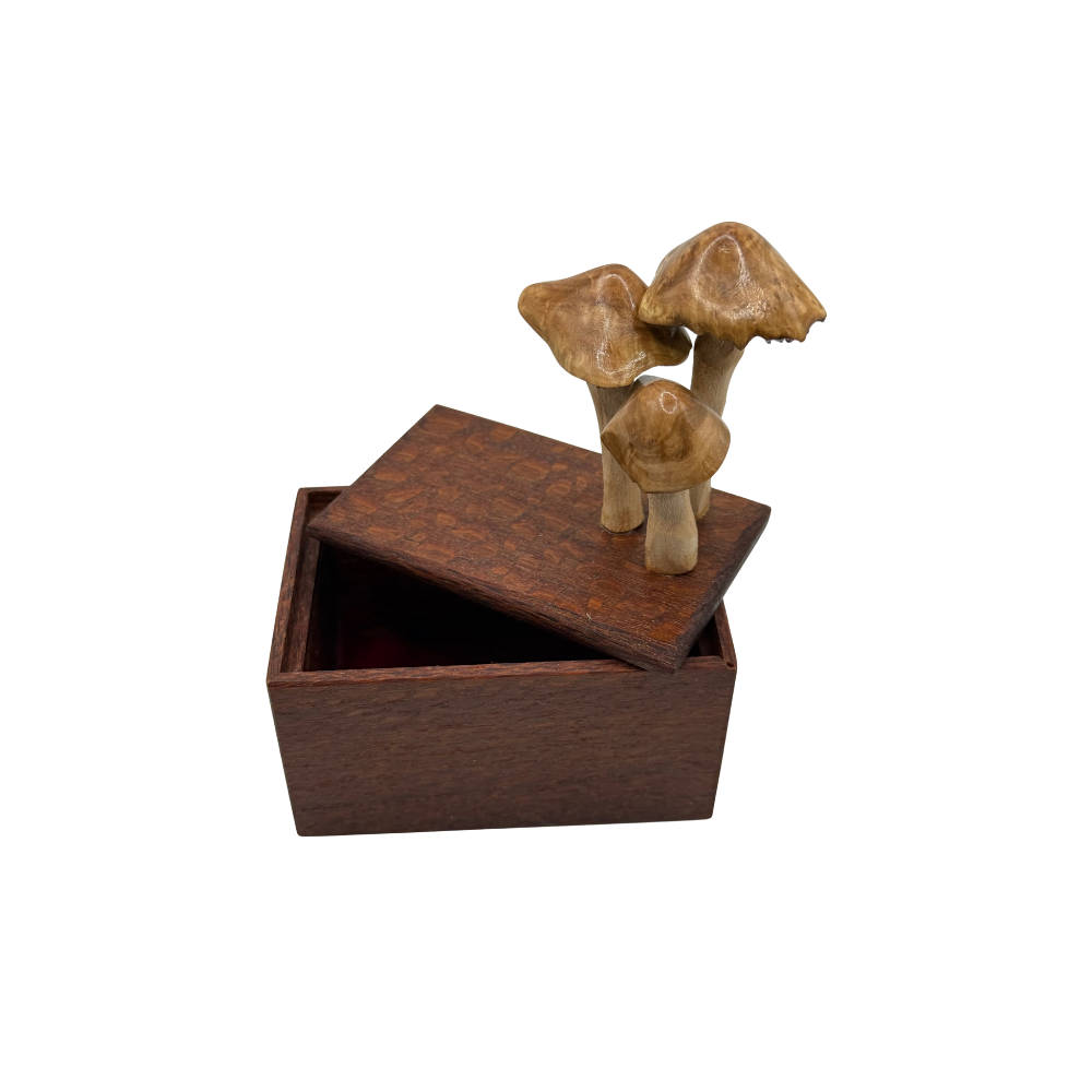 3 Mushrooms - Wooden Box - Whims & Whimsy