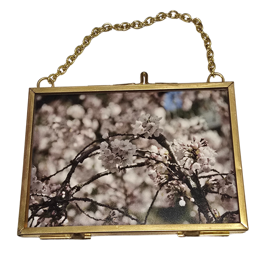 Local Photograph in Frame #1