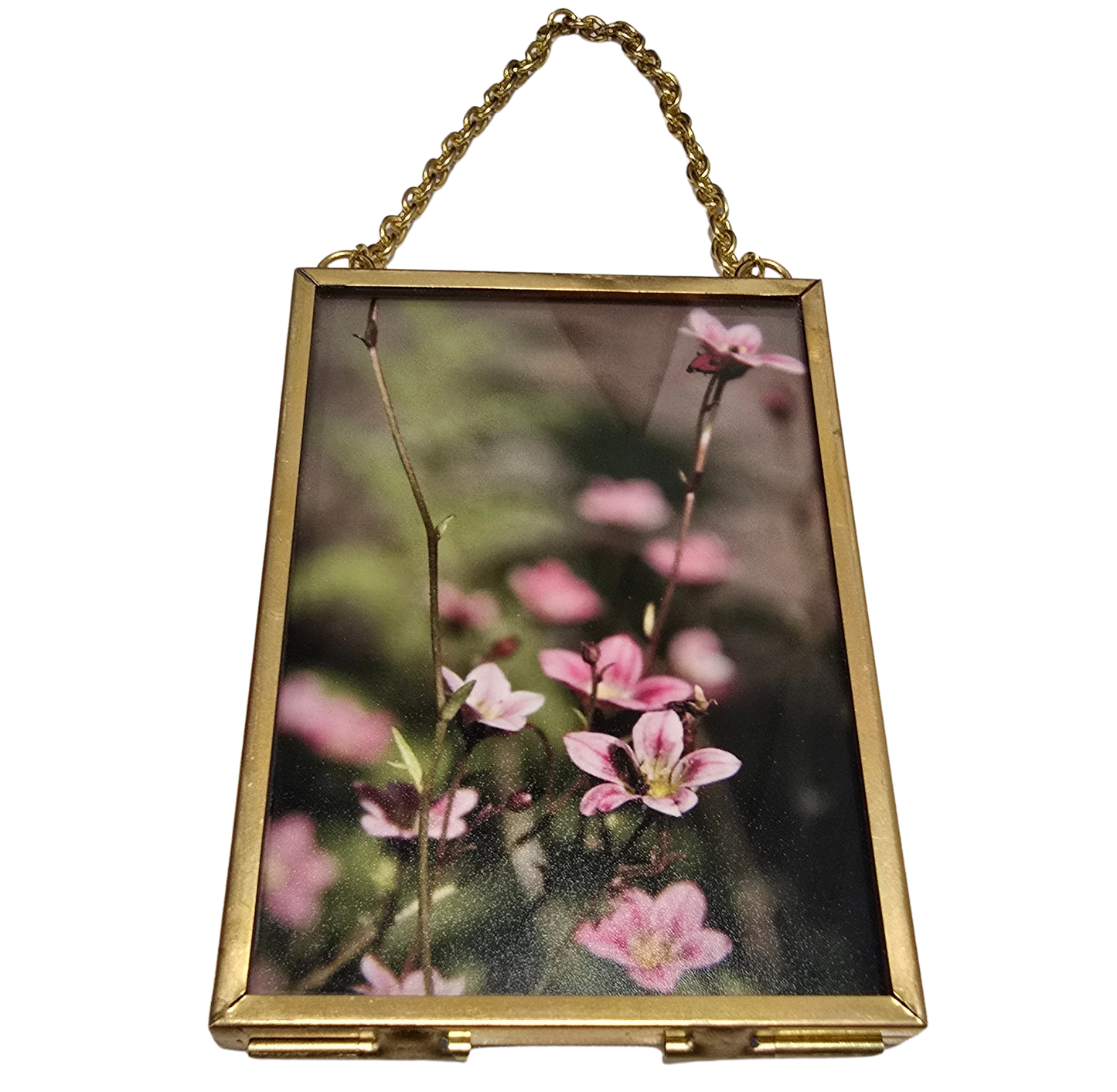 Local Photograph in Frame #3