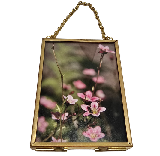 Local Photograph in Frame #3