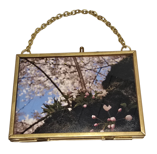 Local Photograph in Frame #4