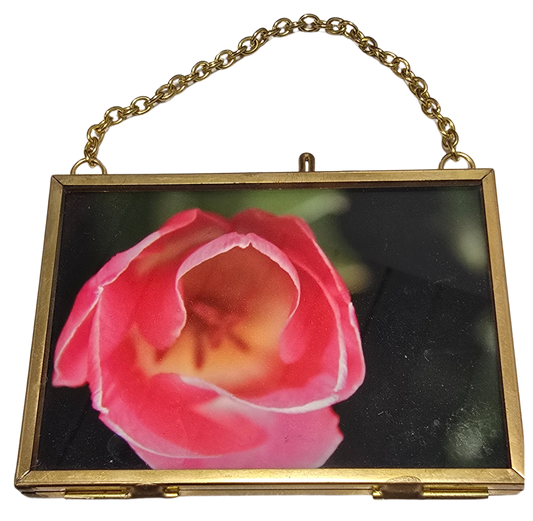 Local Photograph in Frame #5