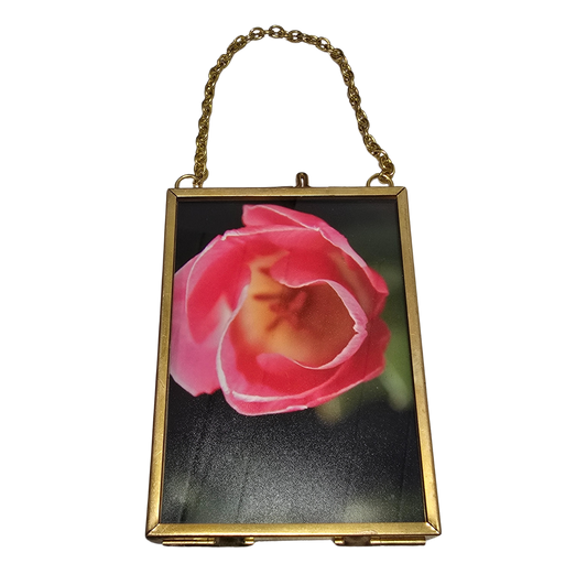 Local Photograph in Frame #2